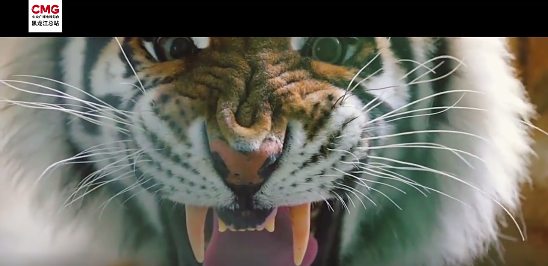 特別策劃丨“萌虎天團”線上徵名，全球的