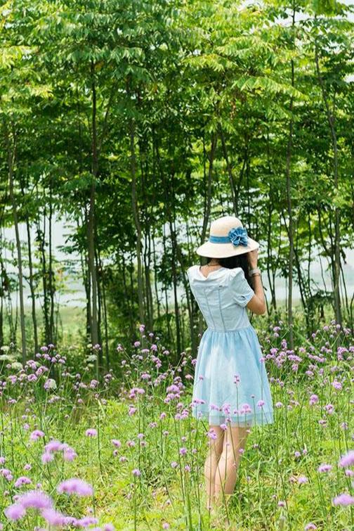 中秋月明時，人圓賞月圓