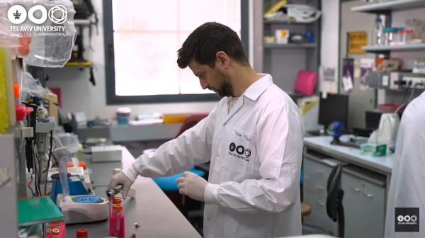 癱瘓小鼠接受人類脊髓組織移植，能重新走路了！或將治癒諸多絕症