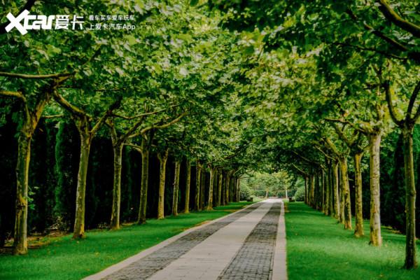 清涼避暑吃小龍蝦！銳界PLUS自駕之旅