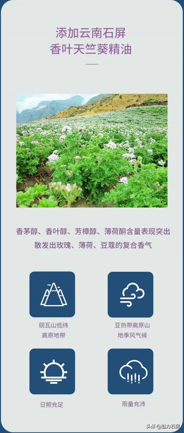 文博會上的石屏風潮 文博會上的石屏風潮