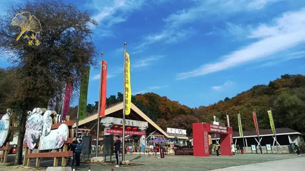 【玩轉懷柔】2021懷柔賞秋攻略出爐！一個字，絕！