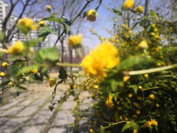 晨霽一週星座運勢9.27-10.3上 晨霽一週星座運勢9.27-10.3上