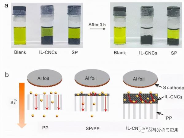 青大：互連碳奈米籠作為鋰硫電池隔膜的塗層防止多硫化物離子穿透