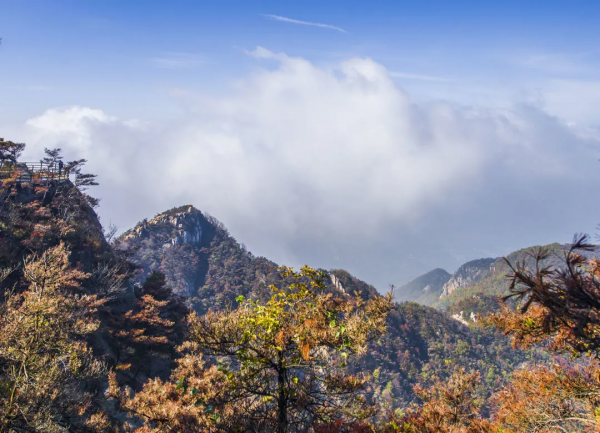 天蒙山中的冬日美景,一刻也不容錯過! 天蒙山中的冬日美景,一刻也不容錯過!