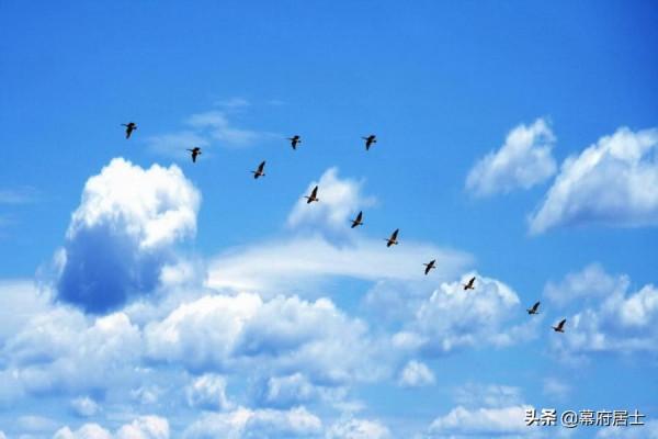 《鷓鴣天》二十八年錯換人生之庭審