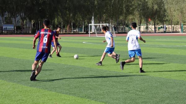 沉浸式問答！“你的意義是什麼”