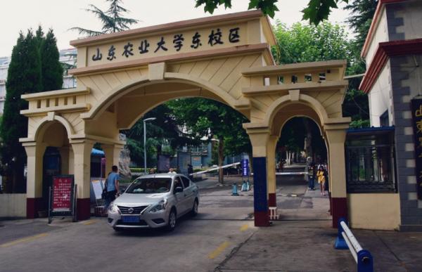 山東雙一流建設，山師山農自力更生，臨大麴師得到大力扶持