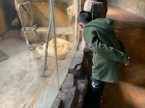 河馬泡在溫水裡，黑猩猩住暖氣房，動物們這樣過冬