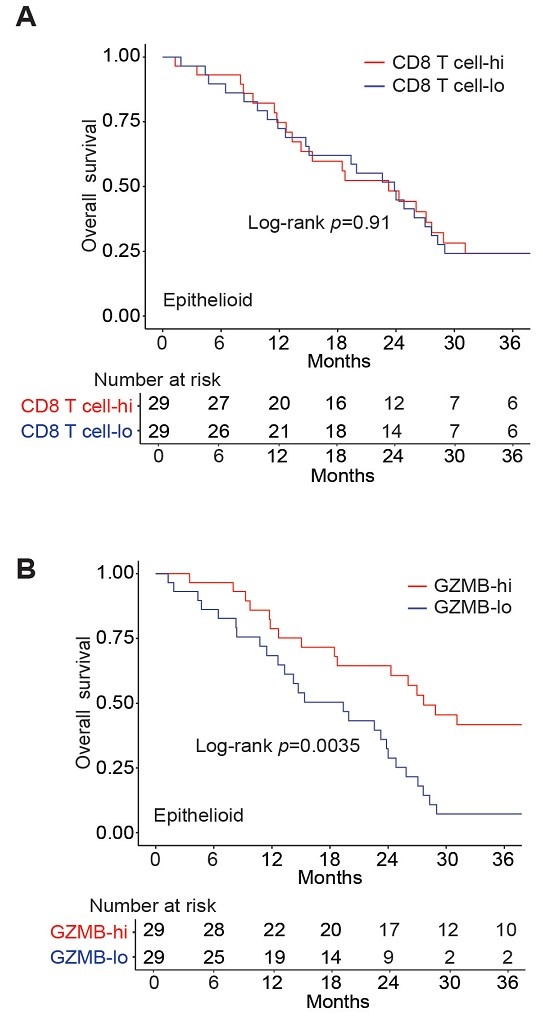 天津大學生命科學學院呂春婉團隊JITC發文：破解調控T細胞功能的代謝檢查點