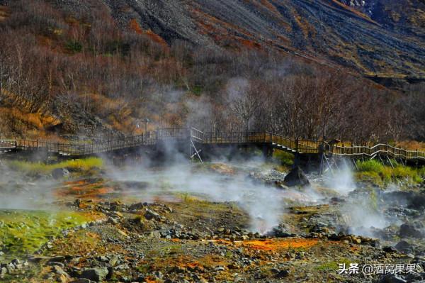 國內適合冬季冰雪旅行的五個目的地｜附詳盡攻略｜你喜歡哪個
