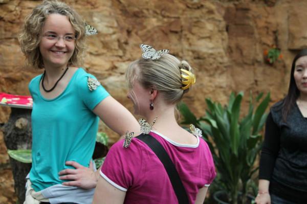 美景山東‖螢火蟲水洞：亞洲罕見的螢火蟲奇觀