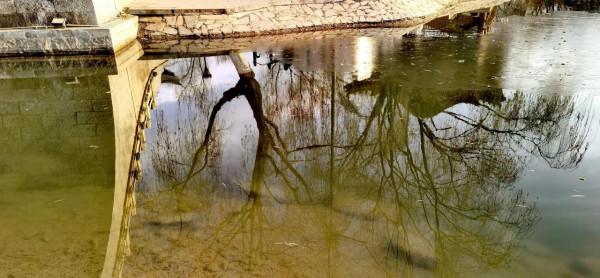 《冬日裡的鏡頭》之三：精靈鷗寶篇