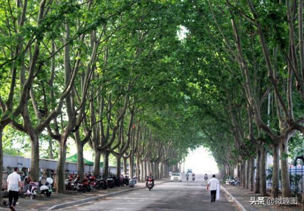 28個關於江蘇的冷知識，您確定都瞭解嗎？