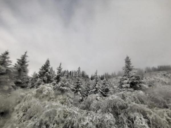 九寨溝的第一場雪 晶瑩剔透 恍若進入了童話世界