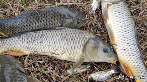 出現跑魚和空竿！可能是所用釣鉤出了大毛病，四處細節應多加重視