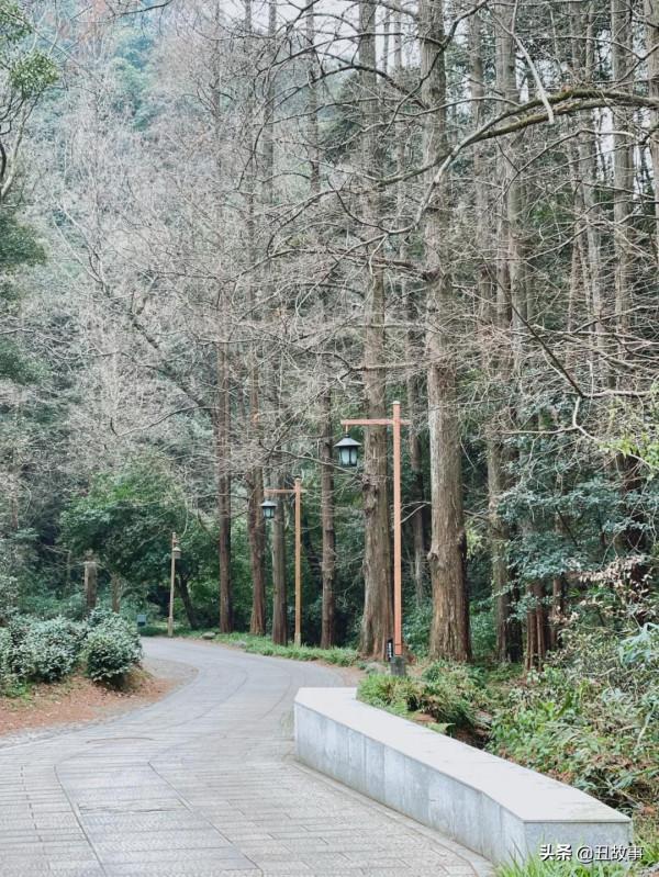 這一個月，我只記住了那6個小時