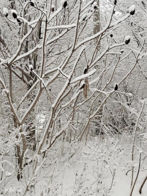 ＃烏魯木齊頭條#烏魯木齊的冬天是美麗的