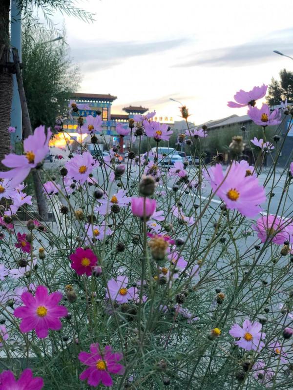 遊內蒙古的世界文化遺產-“元上都遺址”，覽清朝皇家寺院-匯宗寺
