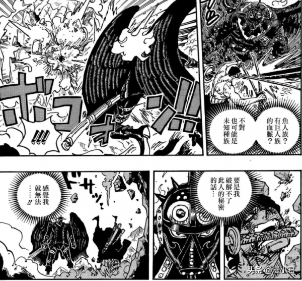 《海賊王》最新話 全面衝突走向高潮 陰影中的生存者讓人淚目