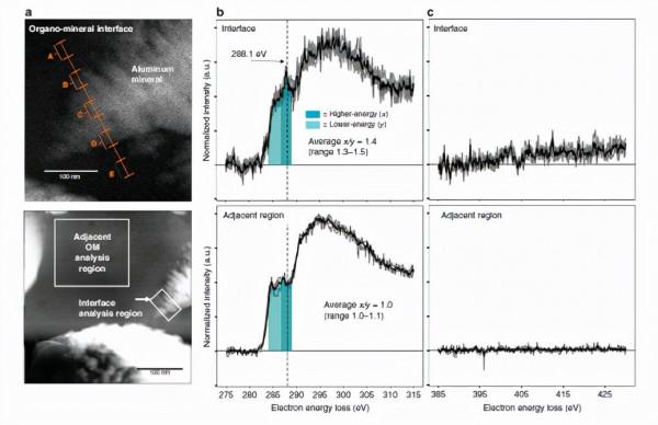 文獻解讀｜奈米尺度下土壤有機-有機和有機-礦物介面