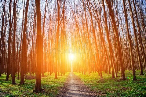 思而不語，念而不忘