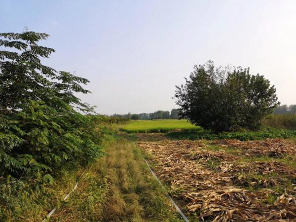 摩托周邊旮旯遊——尋朱元璋出家之於皇寺 摩托周邊旮旯遊——尋朱元璋出家之於皇寺