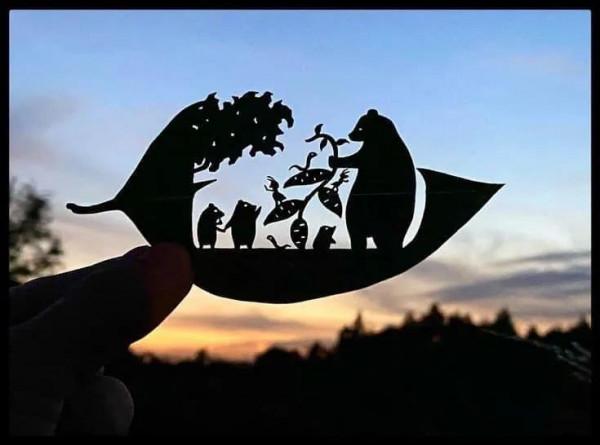 一葉知秋,一葉一世界 一葉知秋,一葉一世界