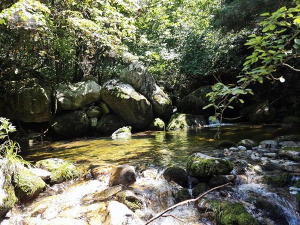 秦嶺72峪之小峪