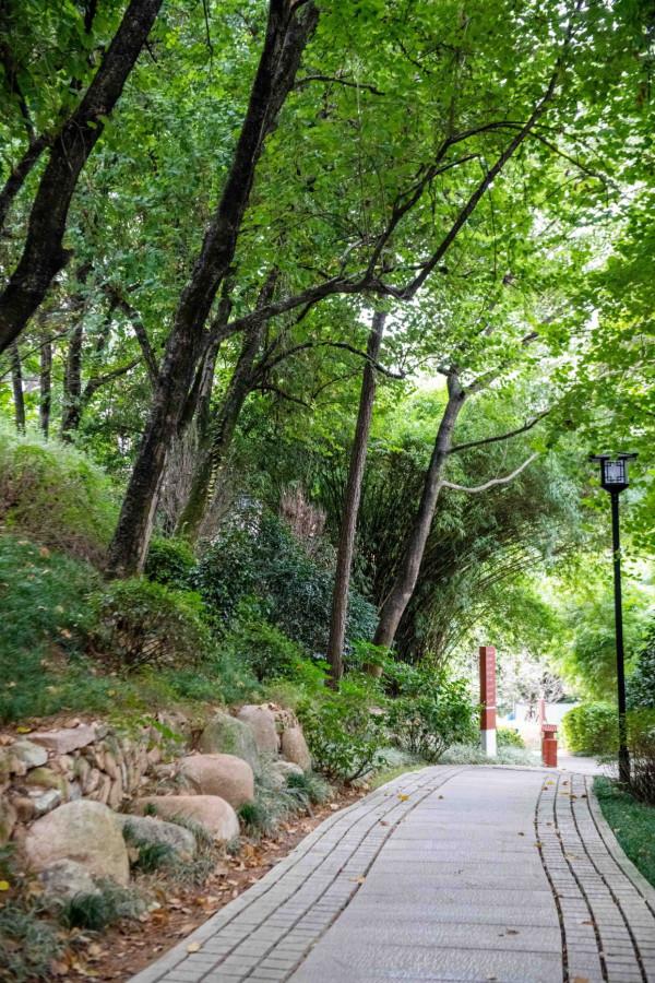 福州超神奇的一棟樓，建築按北斗七星狀排列，颱風來了都要繞著走