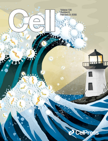 《細胞》發文，呼籲關注學術期刊作者性別的多樣性