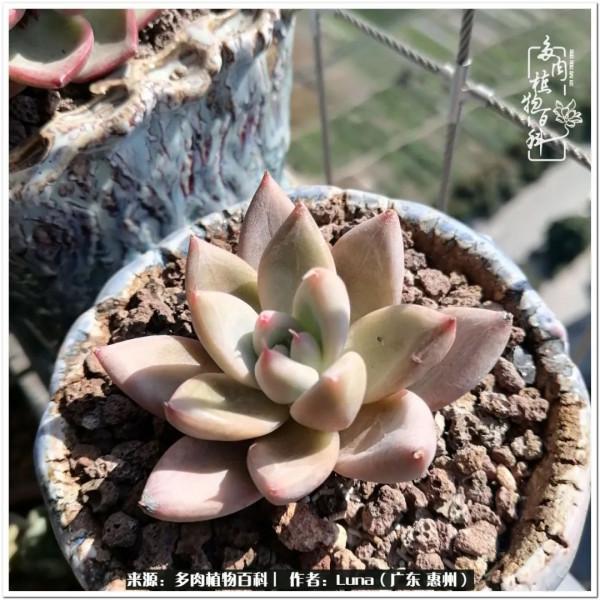 學會和解:與自己、與他人、與世界 學會和解:與自己、與他人、與世界