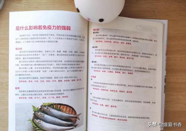 早起20分鐘給孩子做早餐,豐盛營養,孩子再也不說我做飯難吃了 早起20分鐘給孩子做早餐,豐盛營養,孩子再也不說我做飯難吃了