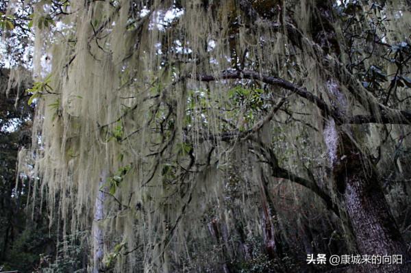 這條徒步線路太美了，這線路適合想去而沒有去過高原的人