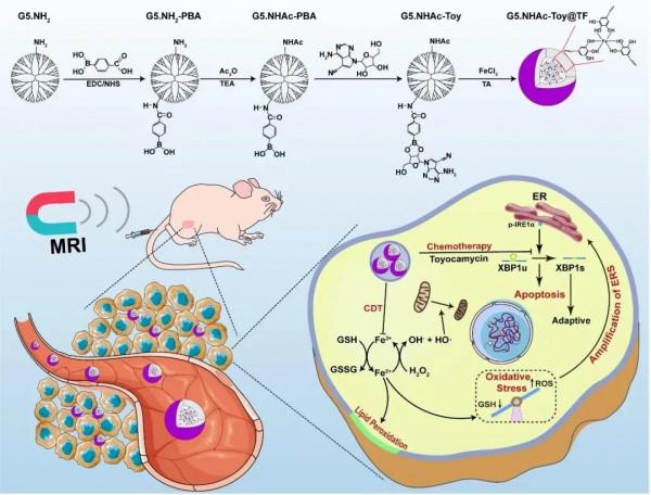新發癌症數，中國居全球第一！上海科學家取得腫瘤診療新進展，引發國際關注！