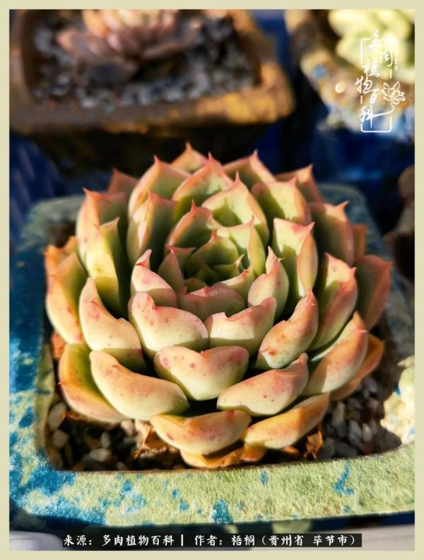 世間瞬息萬變，我們的友誼不變，閨蜜相聚，賞肉言歡