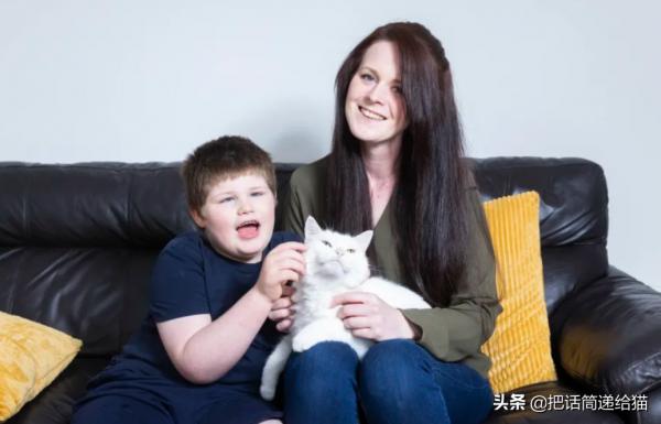 腦癱男孩與他的三腳貓老師:對有些人來說,有貓在就是團圓 腦癱男孩與他的三腳貓老師:對有些人來說,有貓在就是團圓