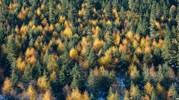 最美秋色徒步路線！去一趟這裡，相當於去過了北疆、壩上、雲南