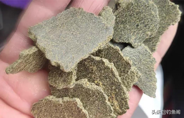 用菜籽餅做基礎餌，好用又省錢，這樣開出的餌專釣大鯽大鯉