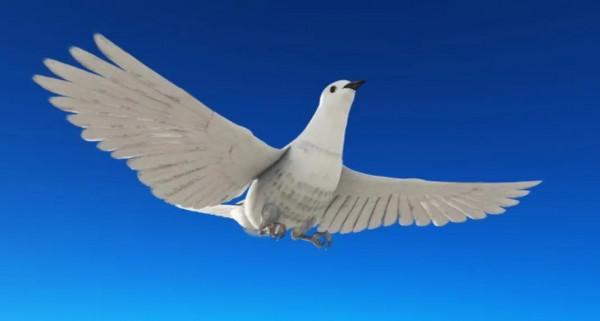 烏鴉和白鴿的愛情&hellip;&hellip;