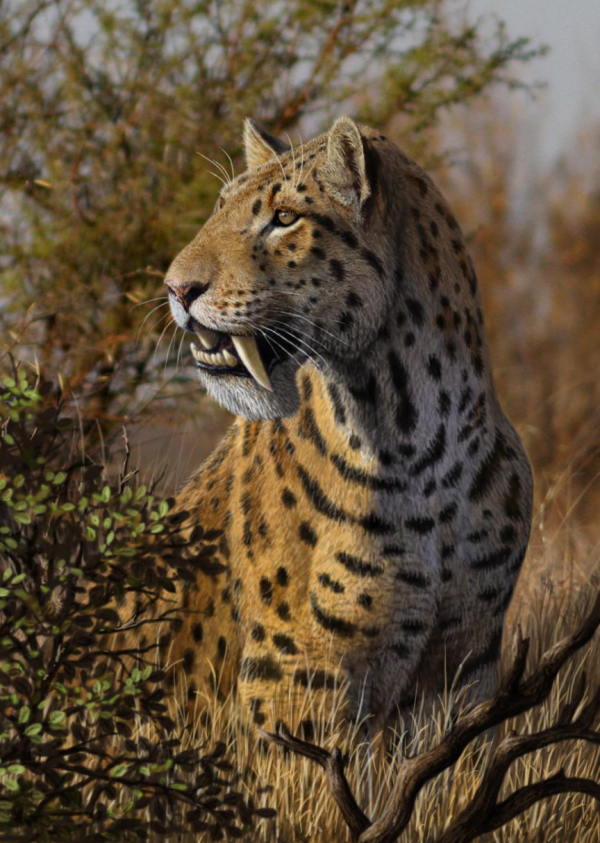 虎年說虎：虎的前世今生丨大年初三