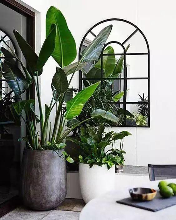 霧霾又超標了！其實你可以擁有一個室內花園