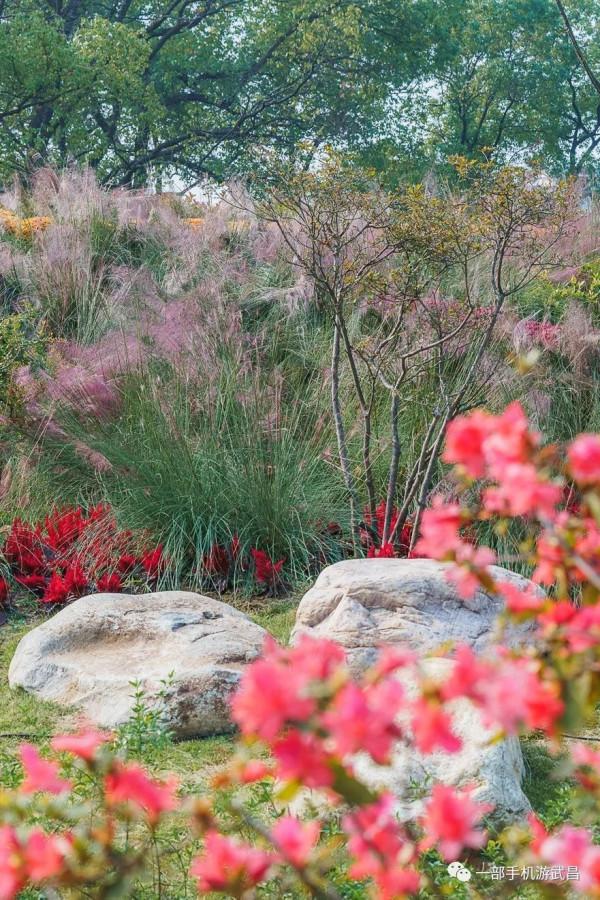 秋遊賞菊,品茗看展,好天氣就出門這樣玩 秋遊賞菊,品茗看展,好天氣就出門這樣玩