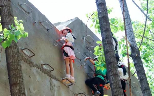 建業足球小鎮的15億，是如何被全部沖毀的？