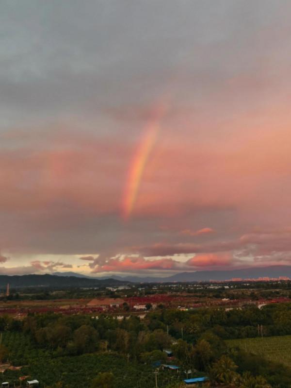 海南鳥事之四 孤島歸鷺