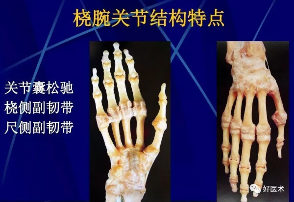 86張全身關節應用解剖精講，這篇文章值得收藏