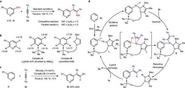 Ni-Al雙金屬大環催化吡啶C3-H鍵烯基化反應 Ni-Al雙金屬大環催化吡啶C3-H鍵烯基化反應