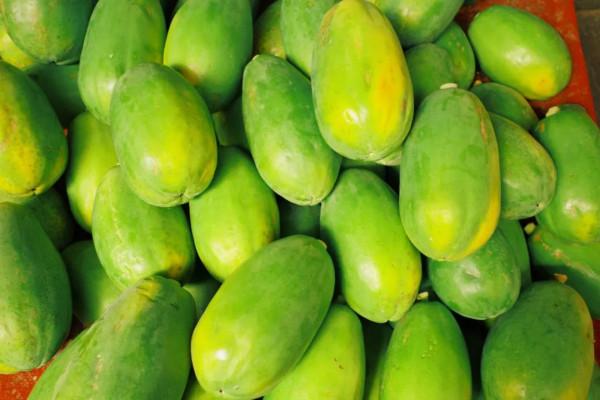 在這裡我毫不焦慮，還實現了水果自由