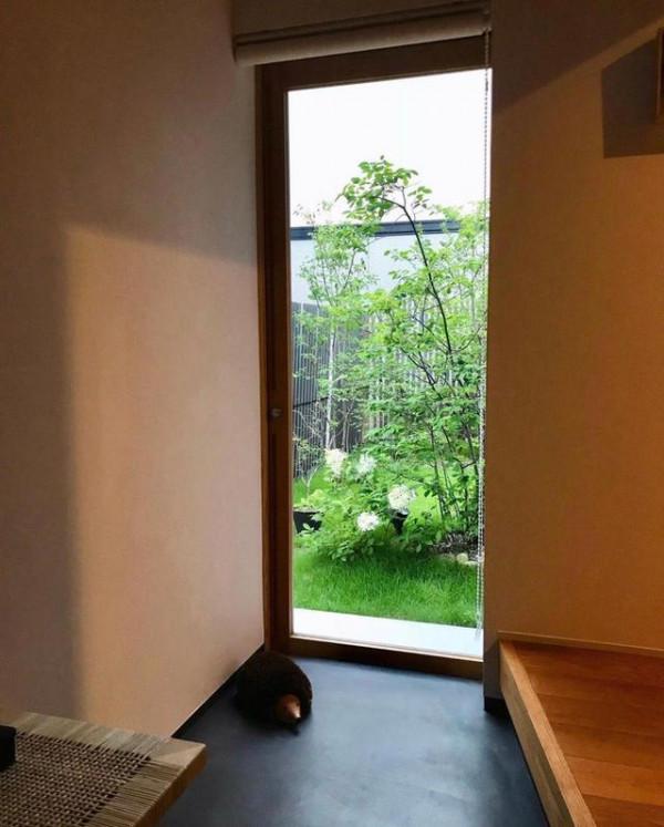 日本太太的“斷舍離”生活，堅持每天一收拾，該扔就扔，太羨慕了