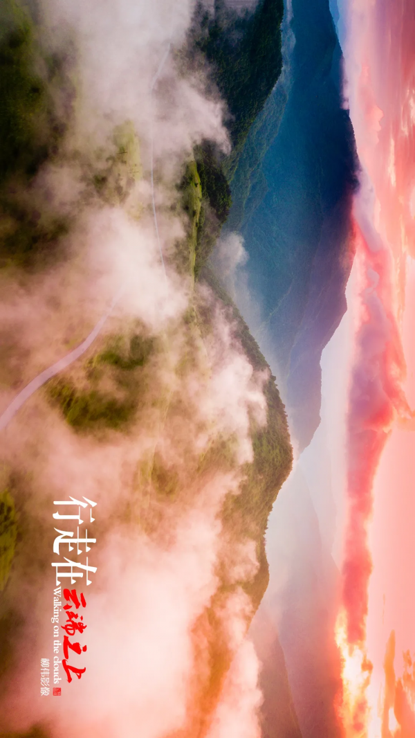 旋轉手機90° →哇！平利正陽雲端草甸這麼美嗎！